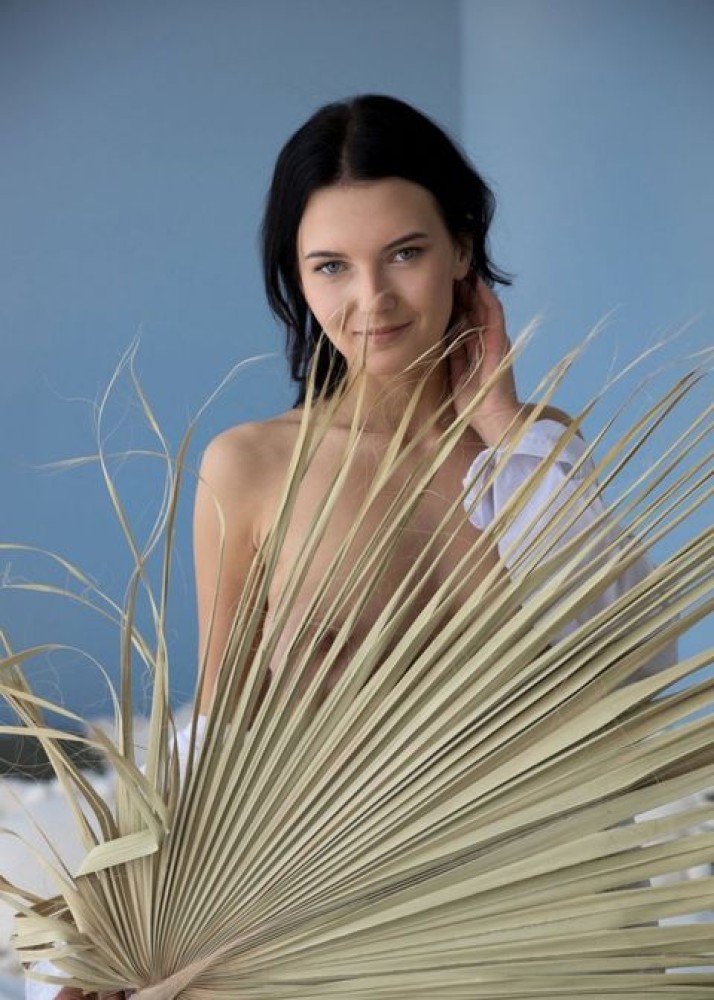 Индивидуалка София главное фото в городе Волоколамск 